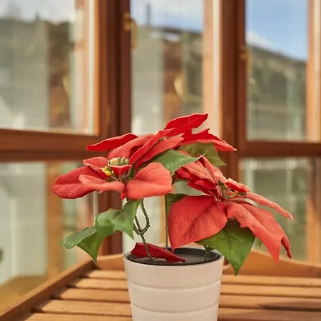 Bio Exclusivo Con Mirador En Y Aparcamiento Publico Gratuito Apartament Bilbao