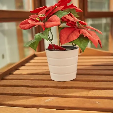 Bio Exclusivo Con Mirador En Y Aparcamiento Publico Gratuito