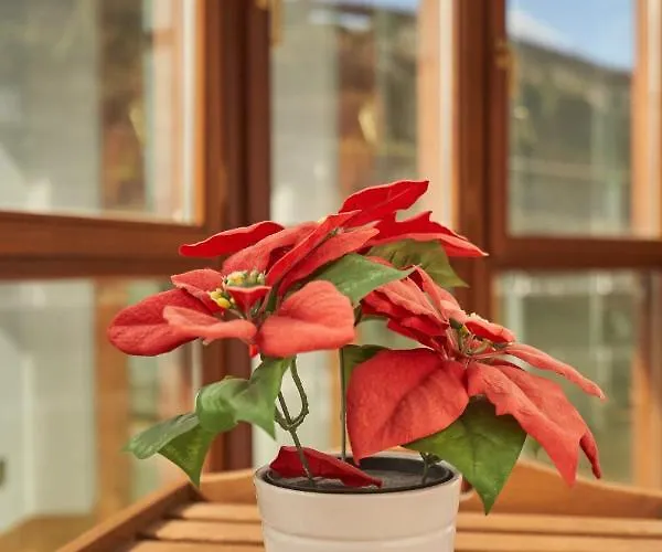 Bio Exclusivo Con Mirador En Y Aparcamiento Publico Gratuito Apartment Bilbao